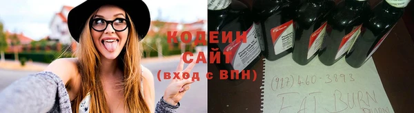 кокс Богородицк