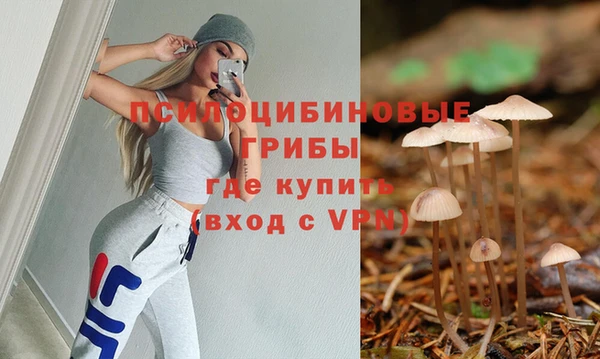 скорость Богородск