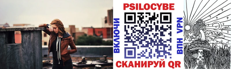 Псилоцибиновые грибы Cubensis  сколько стоит  Чебоксары 